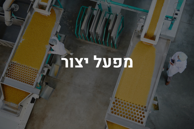מפעל יצור