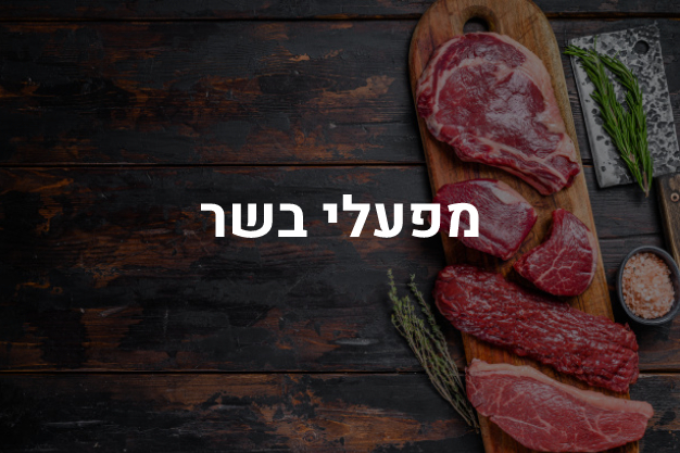 מפעלי בשר