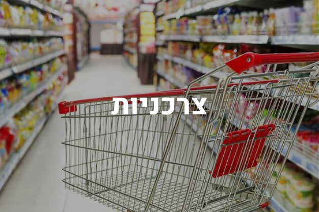 צרכניות