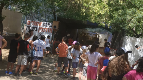 קייצת 1.png
