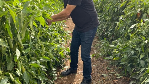 מועצה מתגייסת למען החקלאים (3).jpeg